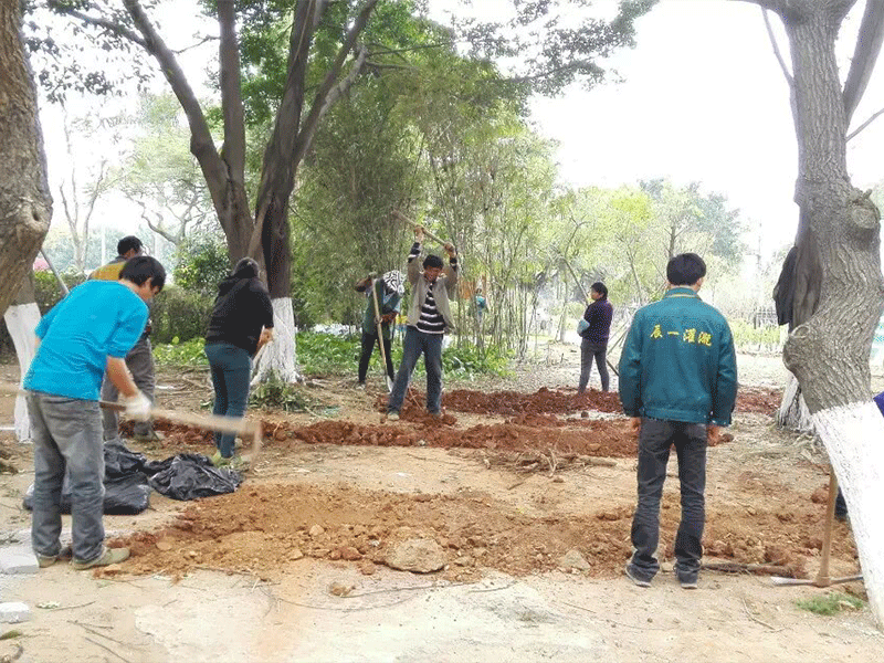 莫兰蒂抢险救灾 莫兰蒂抢险救灾