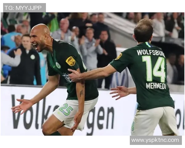 沃尔夫斯堡客场战平勒沃库森，双方争分夺胜难分伯仲